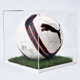 Grass-Effect-Football-Case-2000.jpg