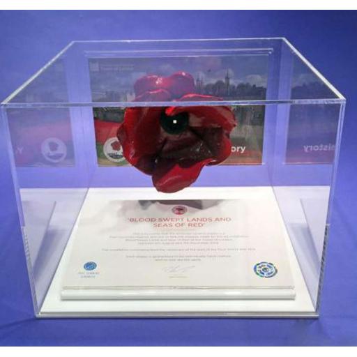 Poppy Display Case