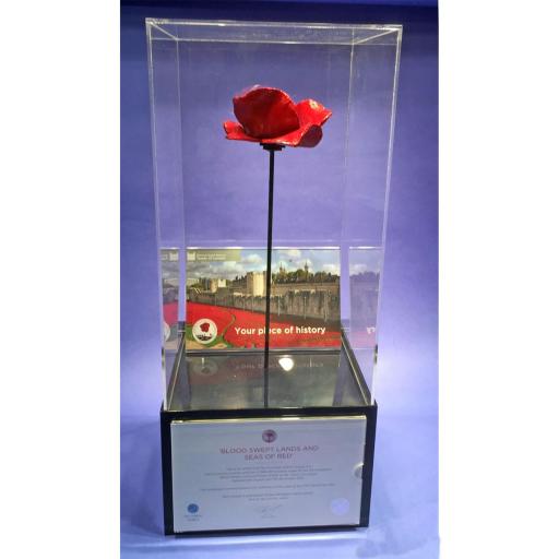 Poppy Display Case (WITH STEM)