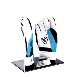 goalkeeper glove cases 2.png