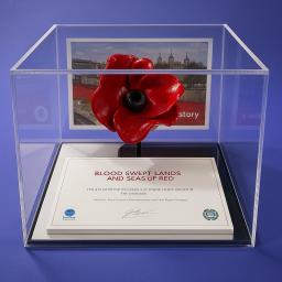 poppy display case 3.png