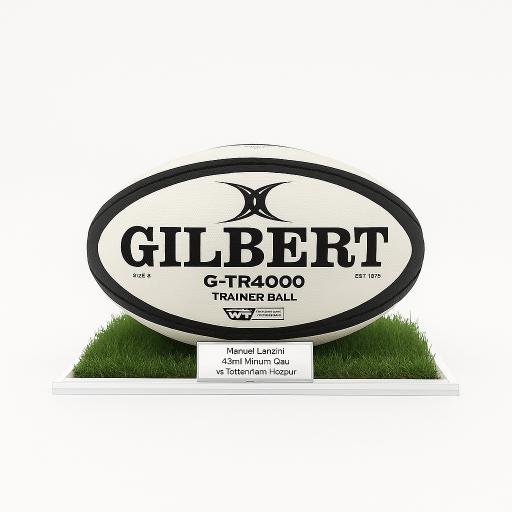 Rugby Ball Display Case (Landscape) With Grass Effect Base