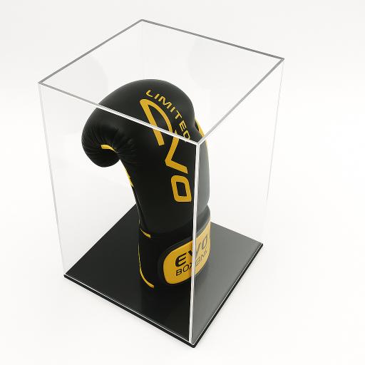 Boxing Glove Display Case - Single Portrait