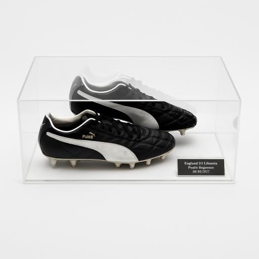 Collectable Shoe Display Case (Double) - White Base