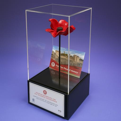 Poppy Display Case (WITH STEM)