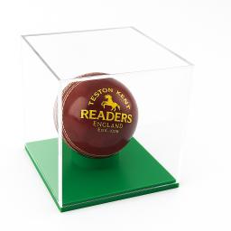 cricket light green.png