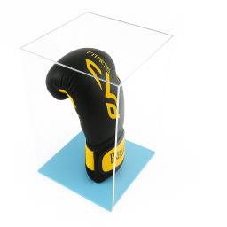 boxing portrait light blue.png
