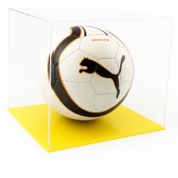 football case yellow base.png