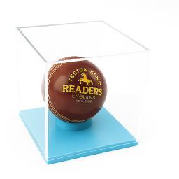 cricket light blue.png