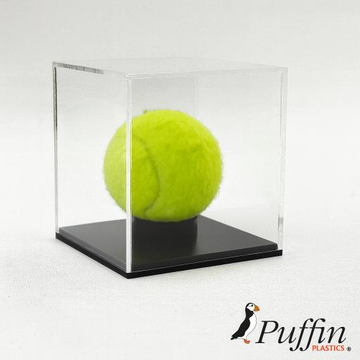 Cricket/Tennis Ball Display Case