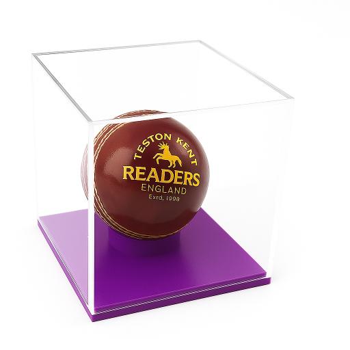 cricket purple.png